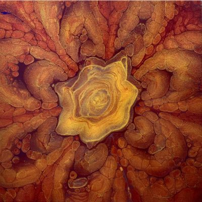 Golden Flower 14x14in Canvas Acrylic Painting